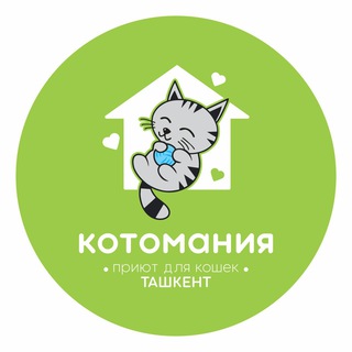 Telegram profile photo for «КОТОМАНИЯ»