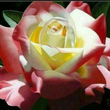 Telegram profile photo for اشعار دل نشین( موضوعات مختلف)