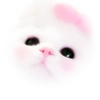 Telegram profile photo for ִ ઇ ֶ֪֪ ⪩ ּℳimi's ℛestaurant . ⪨゙ ✿ ׄ