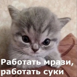 Telegram profile photo for Архив постов