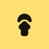 Telegram profile photo for Update Night News