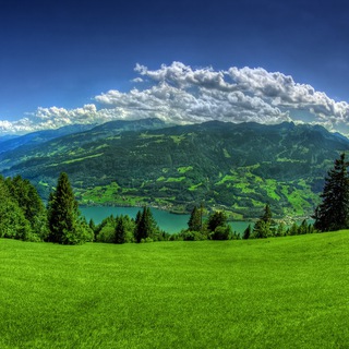 Telegram profile photo for Nature