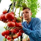 Telegram profile photo for Помидорный рай с Борисом Сониным