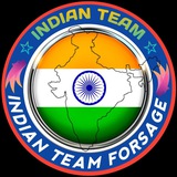 Telegram profile photo for INDIAN TEAM FORSAGE