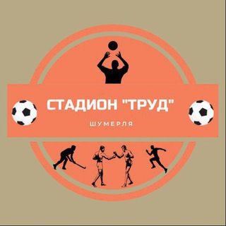 Telegram profile photo for МАОУ ДО "СШ" г. Шумерля