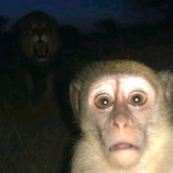 Telegram profile photo for Коля SmartЛудка