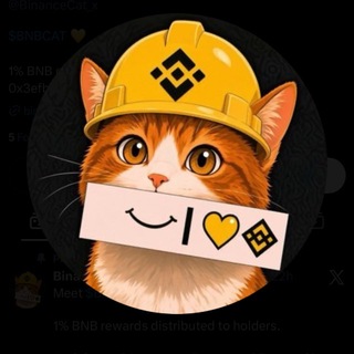 Telegram profile photo for Binance Cat - $BNBCAT