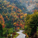 Telegram profile photo for رحیم آباد / rahim abad