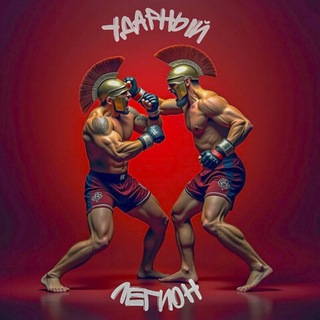 Telegram profile photo for УДАРНЫЙ ЛЕГИОН | MMA