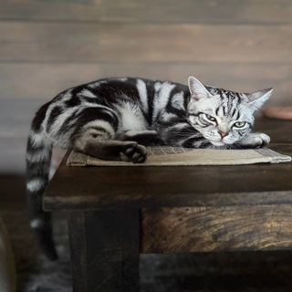 Telegram profile photo for Карамовка 🏡