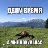 Telegram profile photo for Порноканал жука и дрочильня Моны