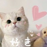 Telegram profile photo for archive