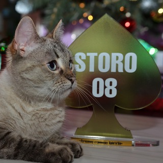 Telegram group profile photo for storo08 сhat