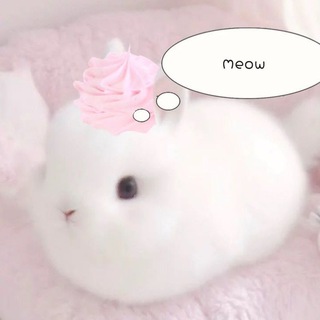 Telegram profile photo for Ი𐑼