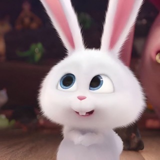 Telegram profile photo for 🐰YANIXPPPPPPP🐰