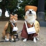Telegram profile photo for KIKUCHIYO | PORTAL