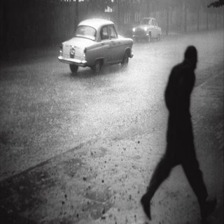 Telegram profile photo for where our shadow falls in tears, time turns voices into stone