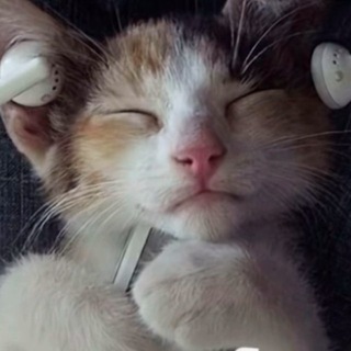 Telegram profile photo for Логово бибика
