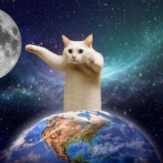 Telegram profile photo for $SHIRO - LONGCAT