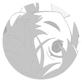 Telegram profile photo for ㅤ⎯@ 𝗈𝗁 , 𝖽𝖺𝗋𝗅𝗂𝗇𝗀..