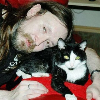 Telegram profile photo for My Cat оказался сильней