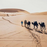 Telegram profile photo for طريق الهجرتين