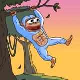Telegram profile photo for $APED