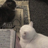 Telegram profile photo for الصُحبة الصَالحة تُصلحك🤎🪐""