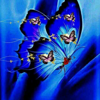 Telegram profile photo for فــــــراشــة 🦋✦