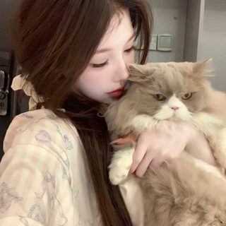 Telegram profile photo for 困困的招聘组群