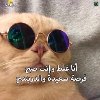 Telegram profile photo for الغباء السريري