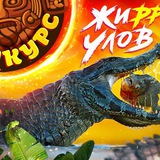 Telegram profile photo for Эльдорадо Casino — бонусы, фриспины и промокоды