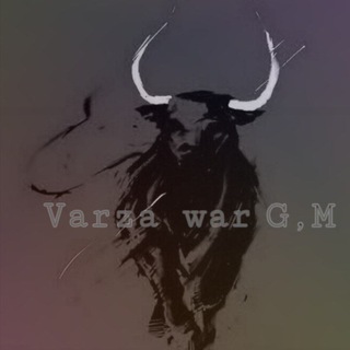 Telegram profile photo for Varza war G,M
