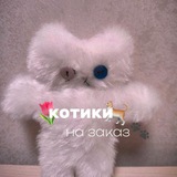 Telegram profile photo for Котики на заказ 🧶 🐈