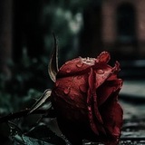Telegram profile photo for Зимний стаканчик🌹