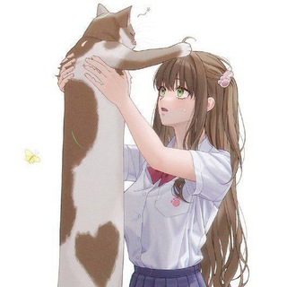 Telegram group profile photo for 🥰Ролка. Общение, поиск парня, девушки🥰