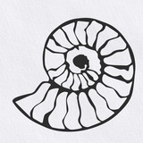 Telegram profile photo for Усадьба АММОНИТ виноградники и виноделие в Саратове