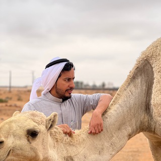 Telegram profile photo for عناد الشيباني ،