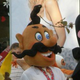 Telegram profile photo for Шароварник