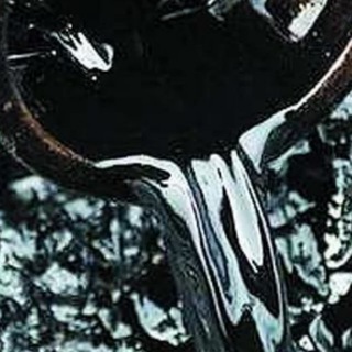 Telegram profile photo for From oil without love