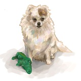 Telegram profile photo for Mobbi