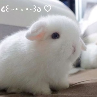 Telegram profile photo for γ
€βππΎπ
π
πππΊ'π ππ
πΊπΌπΎ γ
€π¬π§ γ
€ββ