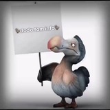 Telegram profile photo for 𝘿𝙊𝘿𝙊 𝙁𝘼𝙈 𝙄𝙉𝙁𝙊.🦤