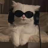 Telegram profile photo for قتباسات'كلام'حب'قرأن