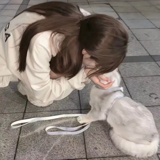 Telegram profile photo for 染月的文案馆