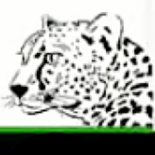 Telegram profile photo for DENCRYPTOINVEST