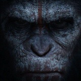 Telegram profile photo for crushs