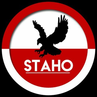 Telegram profile photo for STAHOBETTOR