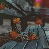 Telegram profile photo for اوراق ذابلة 🍃