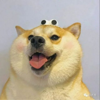 Telegram profile photo for 网站,平台,网页,论坛,程序,源码搭建